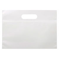 【ジップバッグ】シモジマ HEIKO 手抜きポリ袋 スタンドジップバッグ ＃70 24-17 マット無地 1セット（1袋(50枚入)×5）
