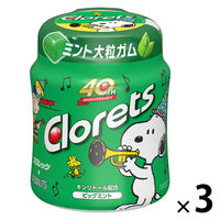 ガム クロレッツ ビッグミント　ボトル 1セット（1個×3）