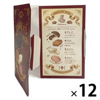 洋菓子 チョコレート菓子 チョコがけラスク　BOOK　4種アソート　4枚入 1セット（1袋×12）