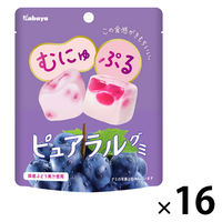 グミ 食べきりサイズ ピュアラルグミ　ぶどう 1セット（1個×16）