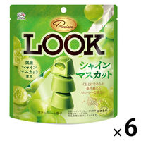チョコレート菓子 プレミアムルック　シャインマスカット　パウチ　41g 1セット（1個×6）