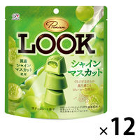 チョコレート菓子 プレミアムルック　シャインマスカット　パウチ　41g 1セット（1個×12）
