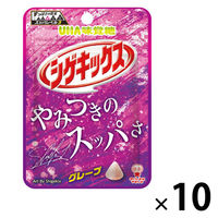 グミ 食べきりサイズ シゲキックス グレープ 1セット（1個×10）