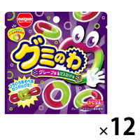グミ　駄菓子 子ども向けお菓子 グミのわ　グレープ＆マスカット  22g 1セット（1個×12）