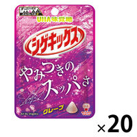 グミ 食べきりサイズ シゲキックス グレープ 1セット（1個×20）