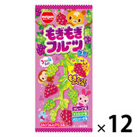 グミ　駄菓子 子ども向けお菓子 もぎもぎフルーツグミ 1セット（1個×12）