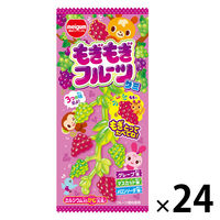 グミ　駄菓子 子ども向けお菓子 もぎもぎフルーツグミ 1セット（1個×24）