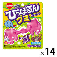 グミ　駄菓子 子ども向けお菓子 ひっぱるんグミ　どうぶつたち　23g 1セット（1個×14）