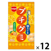 グミ　駄菓子 子ども向けお菓子 プチグミ　みかん 1セット（1個×12）