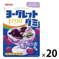 グミ 食べきりサイズ ヨーグレットグミ　フリュイブルーベリー 1セット（1個×20）