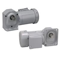 GTR MID SERIES インダクションギアモータ (0.1kW~2.2kW) 直交軸 H2タイプ H2L40L25-WD15TANEN（直送品）