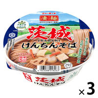 凄麺　茨城けんちんそば 107ｇ 3個 ヤマダイ