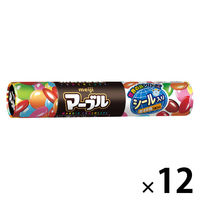 チョコレート菓子 マーブル 1セット（1個×12）