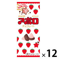 チョコレート菓子 アポロ 1セット（1個×12）