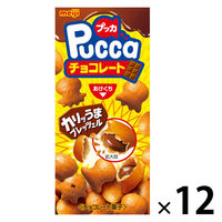 チョコレート菓子 プッカチョコレート 1セット（1個×12）