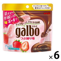 チョコレート菓子 ガルボ　つぶ練り苺　パウチ 1セット（1個×6）