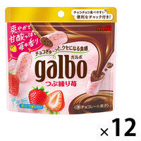チョコレート菓子 ガルボ　つぶ練り苺　パウチ 1セット（1個×12）