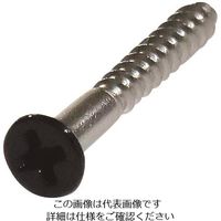 ダイドーハント ネジカラー ステンレス 木ねじ 皿頭 2.7x20黒(16本) 10179107 1パック(16本) 146-6405（直送品）