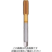 グーリング メートル並目ねじ用タップ レギュラTiNコート M6×1 4443 6.000 181-1017（直送品）