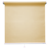 立川機工 ロールスクリーン 遮光 TR-1132 200×30cm シエロクリーム 1台（直送品）