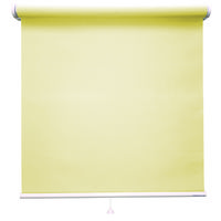 立川機工 FIRSTAGE ファーステージ 立川機工 ロールスクリーン 遮光 1200×1300mm マスタード TR-601 1台（直送品）