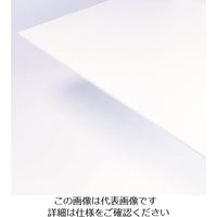 アクリサンデー FOREX白450mmx900mm E-7001