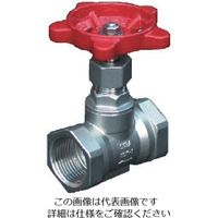 キッツ 青銅製グローブバルブ150型 8A C-8A 1個 163-5603(直送 キッツ 青銅製グローブバルブ150型 8A C-8A 1個 163-5603(直送