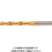グーリングジャパン グーリング ハイスドリル レギュラ TiNコート 0.68mm 651 0.680 1セット(10本) 234-7376（直送品）