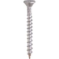 DAIDОHANT HC ノンクロムラスパート コンパネビス 3.8×25 (260本入) 10176997 1パック(260本)（直送品）