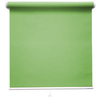 立川機工 ロールスクリーン遮光 TR-1110 45×160cm ネムログリーン 1台（直送品）