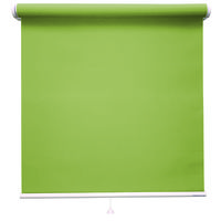 立川機工 ロールスクリーン遮光 TR-1106 75×230cm ネムロライム 1台（直送品）