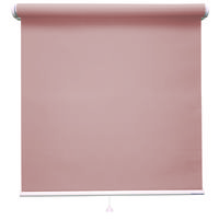 立川機工 ロールスクリーン遮光 TR-1107 70×220cm ネムロチェリー 1台（直送品）