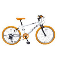 送料無料 GRAPHIS (グラフィス) 子供用自転車 クロスバイク 20インチ シマノ6段変速 スキュワー GR-001K20-WHOR（直送品）
