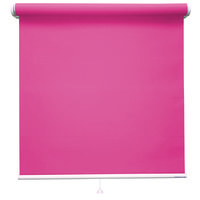 立川機工 ロールスクリーン遮光 TR-1111 70×250cm ネムロピンク 1台（直送品）