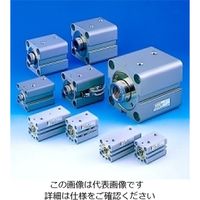 TAIYO 高性能油圧シリンダ 70H-82FK100CB450-AB-YL 1個 845-0624（直送 