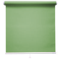 立川機工 FIRSTAGE ファーステージ ロールスクリーン 遮光 1200×800mm リーフ TR-5323 1台（直送品）