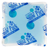 三重化学工業 スノーパック・クール S 1箱（10個入）アイスパック コールドパック 保冷剤 冷却用品 繰り返し