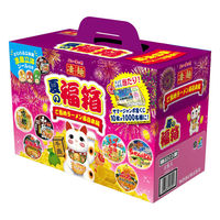 凄麺　夏の福箱ご当地ラーメン西日本編 720g 1箱 ヤマダイ