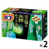 ou ̐X߂藁 1Zbgi1i12j×2j  ^Cv ԉ