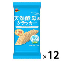 クラッカー 小袋 食べきりサイズ トッピング材料 天然酵母のクラッカー 48枚入 1セット（1個×12）