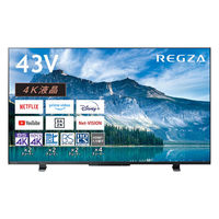 パナソニック VIERA 43型 4K液晶テレビ TV-43W80A 1台（直送品