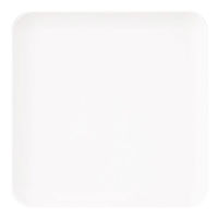 台和 26cm切立(きったて)角皿 白MT SS-500-WM 1個（直送品）