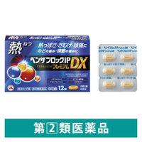 ベンザブロックIPプレミアムDX 12カプレット アリナミン製薬 風邪薬 発熱 悪寒（さむけ） 頭痛 のどの痛み 関節痛【指定第2類医薬品】