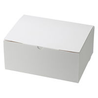 スリムエコケーキ箱 18×24 8～9個用 ホワイト 1袋（50枚入）