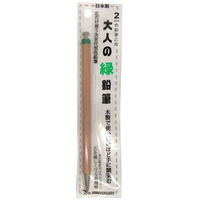 kM l̐FM Pi  OTP-IE580GR 1{iij
