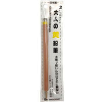 kM l̐FM Pi  OTP-IE580YE 1{iij