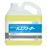 V[oCGX ۂłoXN[i[ 5214454 1Zbg(5L×3)iij