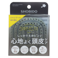 ＳＰＶ71561　スプリングブラシ　ウェット 粧美堂