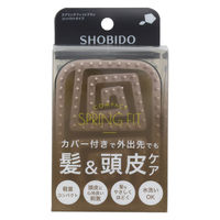 ＳＰＶ71562　スプリングブラシ　コンパクト 粧美堂