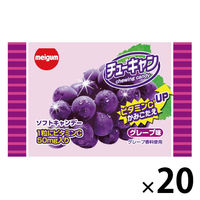 子ども向けお菓子 駄菓子 チューキャン グレープ 13g 1セット（1個×20）